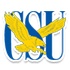 拉萨尔大学